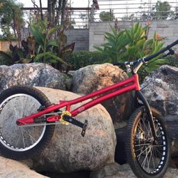 郴州北湖的自行車維修服務指南