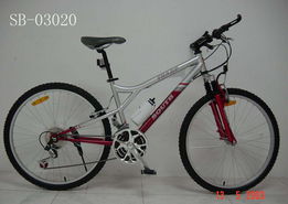 深圳市寶安南方自行車 創新工藝與卓越品質的產品展示